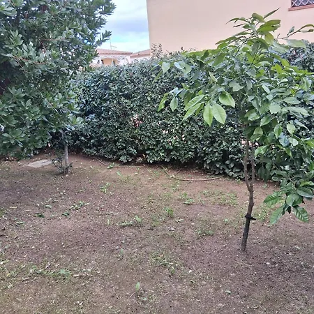 Casamare Roby * Tanaunella