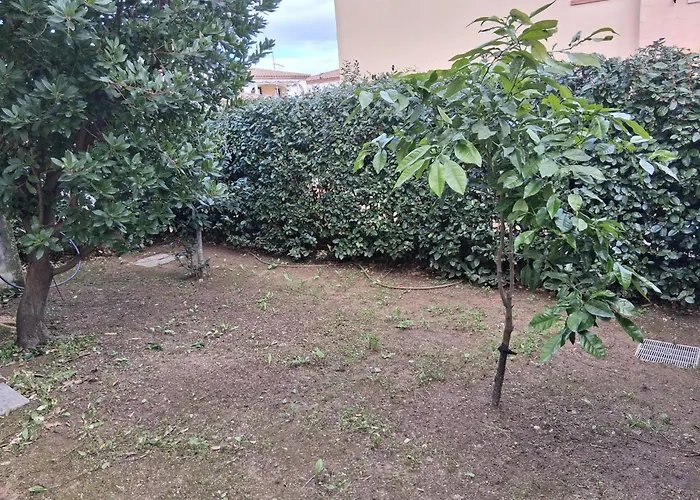 Casamare Roby * Tanaunella